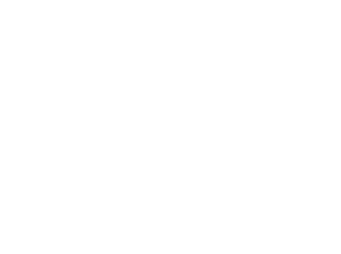 White logo